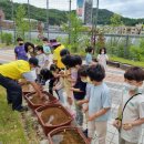 대평초등학교 이미지