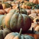 맘스터치연천역점 이미지