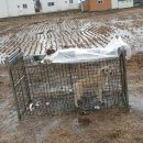 왕신1리 이미지