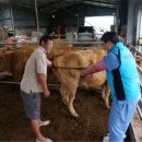 두메축산 이미지