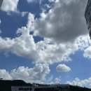 신장로조경 네이버블로그
