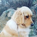 육미천하 이미지