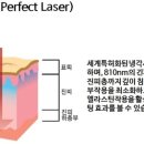 아름다운미의원 이미지