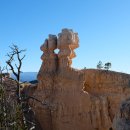 24.10.24 Fairyland Loop, Bryce Canyon N.P 1 이미지