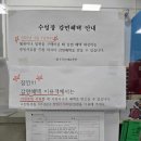 완주국민체육센터 | 완주군 완주국민체육센터 수영장 (용진수영장) 자유수영 후기~!