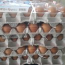 은성축산 이미지