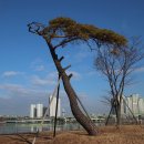 배곧한울공원 이미지