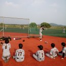 세종베이스볼