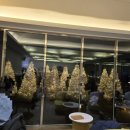 현곡 | [경주카페맛집] 눈 내리는 감성 가득한 소디스커피 현곡점 후기