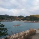 금오도황토민박 이미지