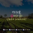 양평부산물 네이버블로그