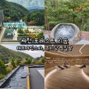 담뜰 | 제천 포레스트 리솜 해브나인스파, 온미당 찜질방
