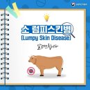 10월 26일 꿈순이러브레터 이미지