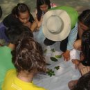 신어초등학교 이미지