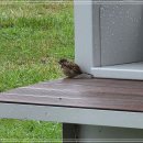 뚝섬한강공원-93 이미지