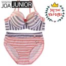 J2006 이미지
