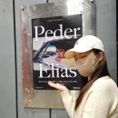 GAME ZONE | 231029 페더 앨리아스 내한 공연 후기 (Peder Elias LIVE IN SEOUL)