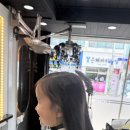 오키드헤어(orchid hair) 네이버블로그