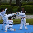 한사랑 태권도(세종도장) 이미지