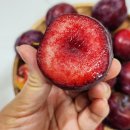 알담