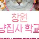 더펫센터