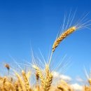 보리창고 이미지