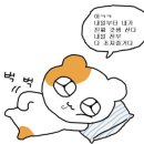 아임파인 - 동대문구 안암로22길 17 | 아임파인
