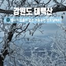 천주산 등산 도로변 | 알레버스 태백산 유일사 등산코스 시간 태백산 국립공원 주차장 시작 장군봉 천제단