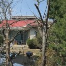 강릉부동산씨리얼 공인중개사사무소 이미지