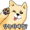 씻고가개 이미지
