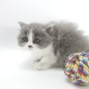 서산터널 화장실 이미지