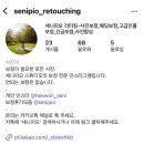 팔이합성 | W18. 사설보정업체 세니피오리터칭 대만족 후기