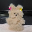 대한적십자 해운대점 | 부산카페쇼 사전등록 2026 무료입장 슈퍼얼리버드 방법 및 방문 후기