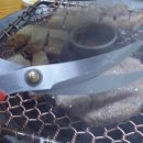 1004화로구이 이미지