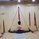 다옴테라피