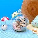 테라리움A 이미지