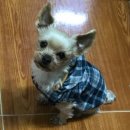 콩언니네