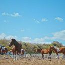 종은목장 이미지