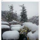 눈과 함께 이미지