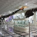 중원대학교 이미지