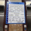 현대바로클리닉 | 용인 동백미용실 궁서채 복구클리닉 강추후기 (재방문)