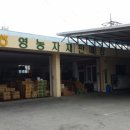 입면농협 이미지