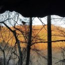 청운제2농장 이미지