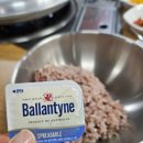 국대부대찌개 이미지