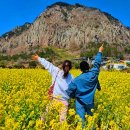 사계리어촌체험휴양마을 이미지