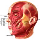 구안한의원 이미지