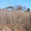 도대1로 이미지