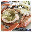 오늘자연산회 | 속초 횟집 추천 동명항 용일호 횟집 아바이마을 자연산 회 대게 후기
