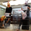 보다더동물농장 이미지