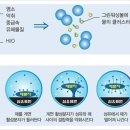 그린특수세탁 이미지